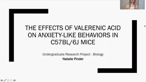 Thumbnail for entry The Effects of Valerenic Acid on Anxiety-Like Behavior in C57BL/6J Mice