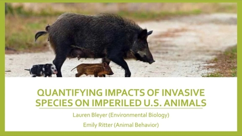 Thumbnail for entry Quantifying Impacts of Invasive Species on Imperiled U.S. Animals