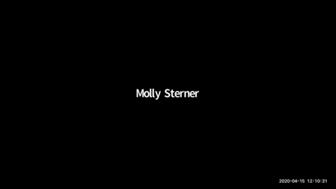 Thumbnail for entry Molly_Sterner_Potential reprogramming of turtle NCCs