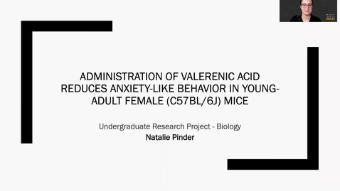 Thumbnail for entry Administration of valerenic acid reduces anxiety-like behavior in young-adult female C57BL/6J mice.