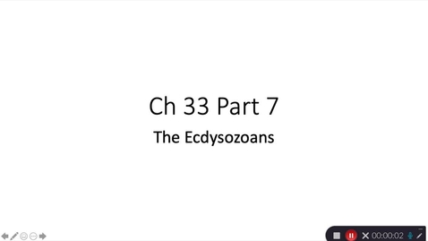 Thumbnail for CH 33 PART 7 ECDYSOZOA Nemerteans and Arthropods