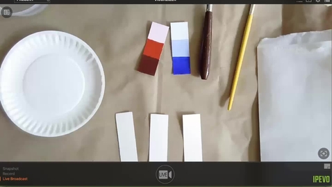 Thumbnail for Color Chart: Intensity Sequence Demonstration (Zoom Recorded)