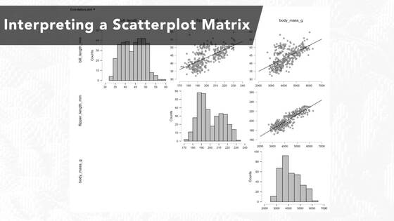 PSYC3700 - Interpreting a Scatterplot Matrix