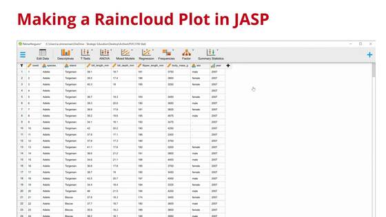 JASP - Raincloud Plot