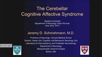 Cerebellar Cognitive Affective Syndrome Neurology Neurological Sciences Stanford Medicine