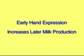 Stanford hand store expression