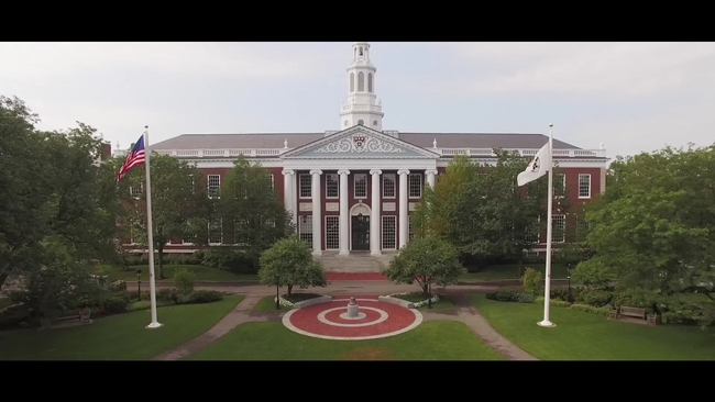 At AMP, You Are All In | Executive Education