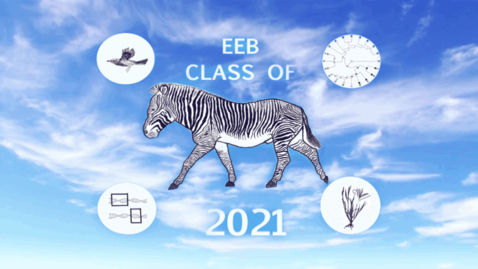 Thumbnail for entry EEB Class Day 2021