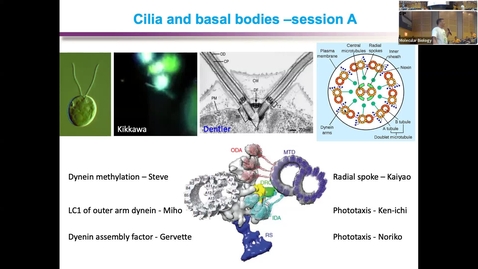 Thumbnail for entry Cilia and basal Bodies - Session A, Chaired by Junmin Pan