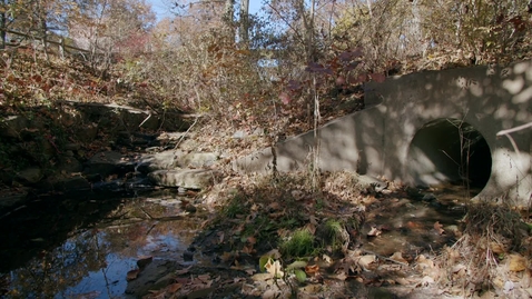 Thumbnail for Increase Area Under Enhanced Stormwater Management