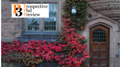 Thumbnail for 2021 P3 Professional Development at Princeton Session
