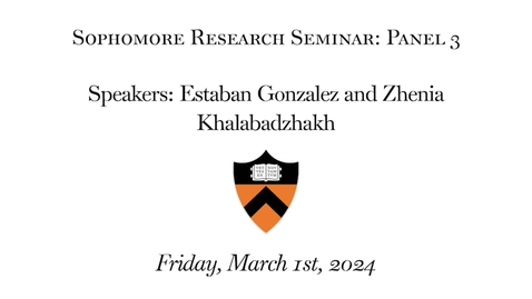 Thumbnail for Sophomore Research Seminar: Panel 3