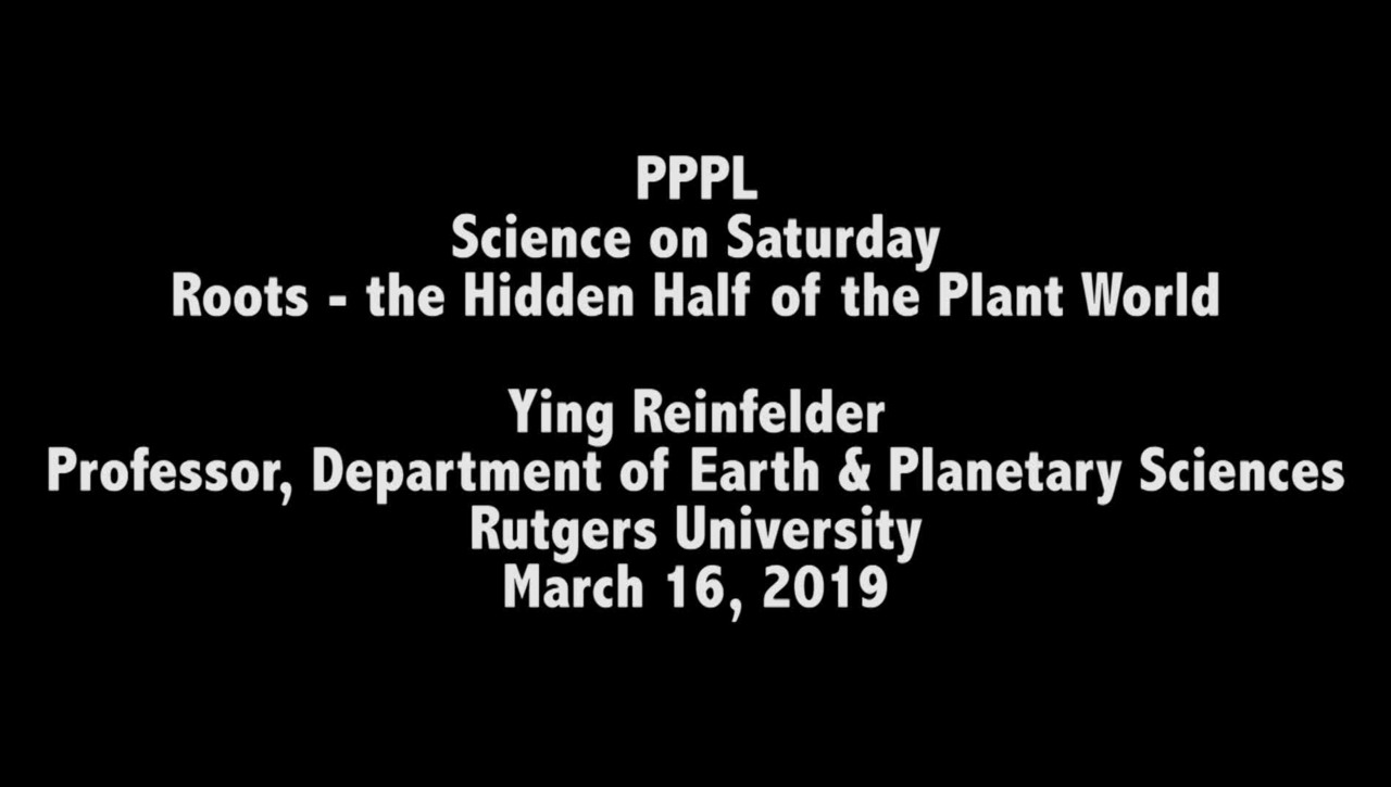 SOS16March2019_YReinfelder