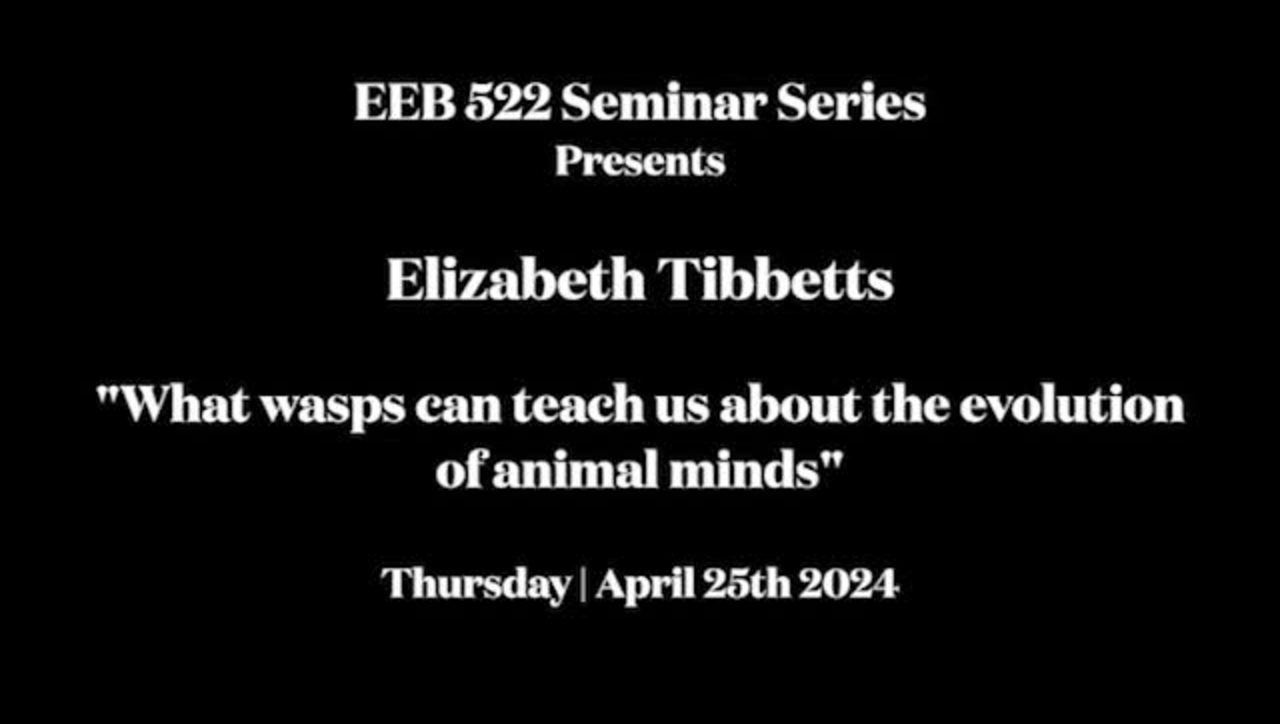 EEB 522 Seminar Series - Elizabeth Tibbetts