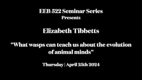 Thumbnail for entry EEB 522 Seminar Series - Elizabeth Tibbetts