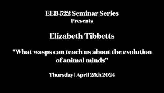 EEB 522 Seminar Series - Elizabeth Tibbetts
