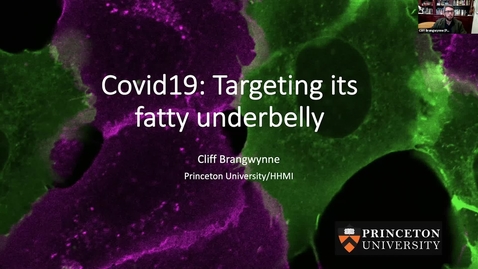 Thumbnail for entry COVID-19: Targeting Its Fatty Underbelly