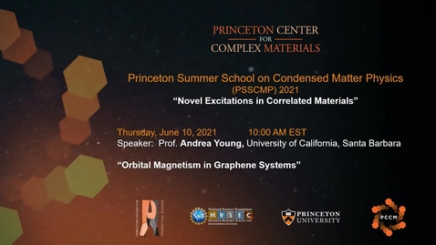 Thumbnail for Orbital magnetism in graphene systems