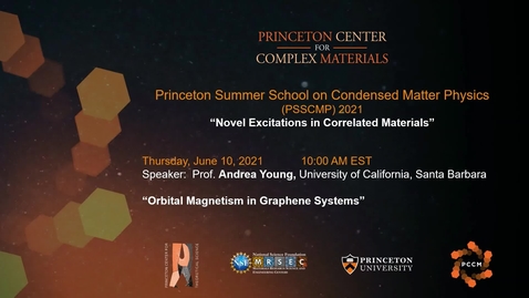 Thumbnail for entry Orbital magnetism in graphene systems