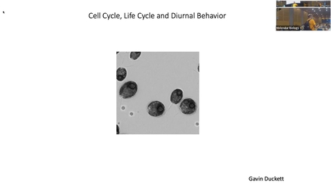 Thumbnail for entry Cell cycle, life cycle, and diurnal behavior - Chair- Amy Ikui