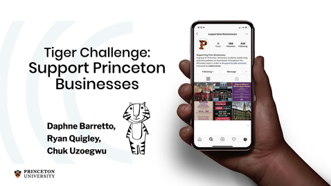 Thumbnail for Tiger Challenge: Supplier Diversity