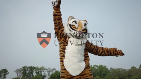 Thumbnail for Reunions 2019