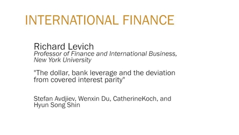 Thumbnail for Richard Levich &quot;The dollar, bank leverage and the deviation from covered interest parity&quot;