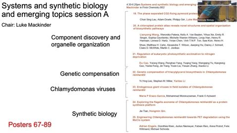 Thumbnail for entry Systems and synthetic biology and emerging topics A - Chair: Luke Mackinder