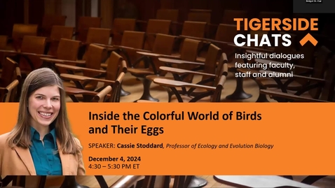 Thumbnail for Inside the Colorful World of Birds and Their Eggs