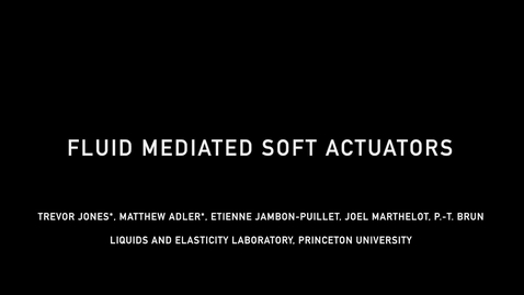 Thumbnail for Fluid mediated soft actuators, Trevor J. Jones, G5 (3959899)