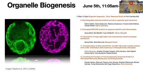 Thumbnail for Organelle biogenesis - Chair: Masayuki Onishi