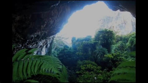 Thumbnail for On the Bats and Biologists of Madagascar