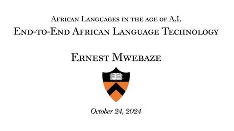 Thumbnail for African Languages in the age of AI: &quot;End-to-End African Language Technology&quot;