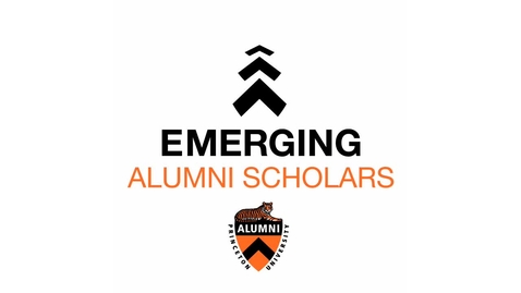 Thumbnail for Should Swimming Robots be Flexible?