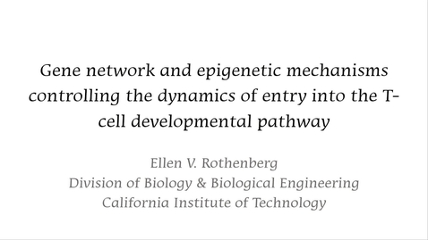Thumbnail for QCB Seminar with Ellen Rothenberg - October 25th, 2021