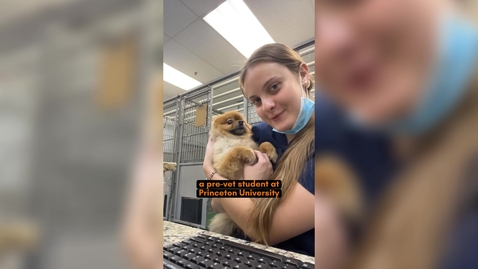 Thumbnail for SSII Intern: Patricia Palanik ‘28