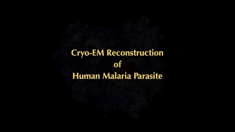 Thumbnail for entry Visualization of malaria molecule from Cryo-Electron Microscopy