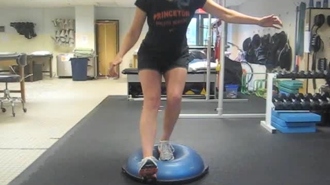 Thumbnail for Single Leg Heel Touches on Bosu