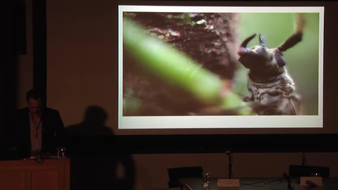 Thumbnail for Brazil LAB Conference - Keynote - Eduardo Kohn &amp; Joao Biehl