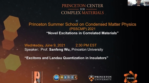 Thumbnail for entry Excitons and Landau Quantization in Insulators