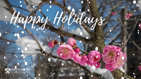 Thumbnail for ODFR Holiday Card 2023