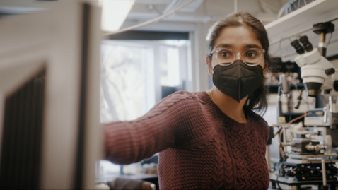 Thumbnail for ECE Department Chair Video