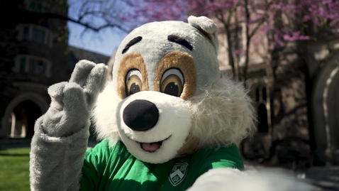 Thumbnail for Rocky Welcome 2024