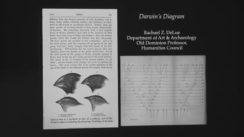 Thumbnail for Old Dominion Lecture with Rachael DeLue: &quot;Darwin's Drawings&quot;