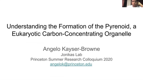 Thumbnail for OURSIP intern - Angelo Kayser-Browne