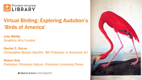 Thumbnail for entry Virtual Birding: Exploring Audubon's 'Birds of America'