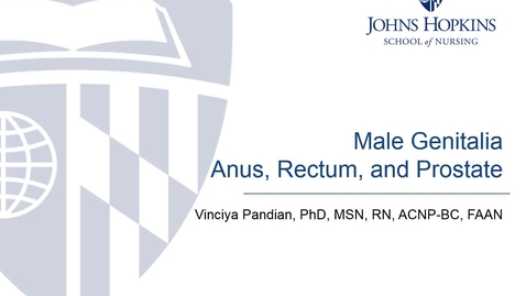 Thumbnail for entry Male GU, Anus, Rectum and Prostate