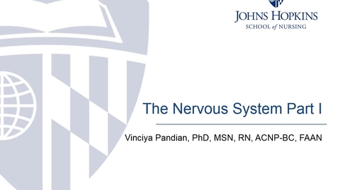 Thumbnail for entry The Nervous System Part I