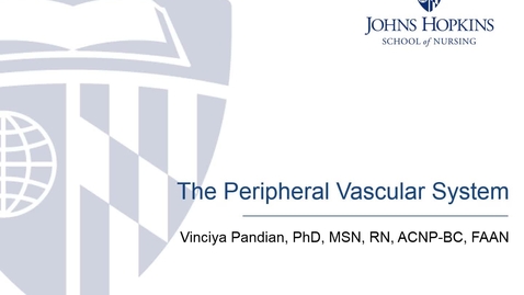 Thumbnail for entry The Peripheral Vascular System