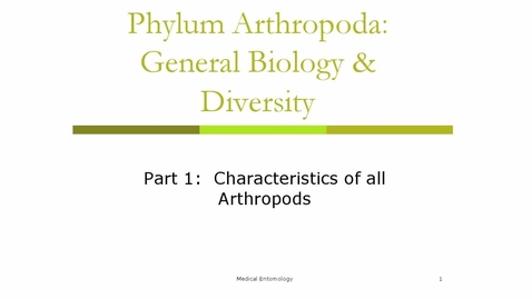 Thumbnail for entry General Biology and Diversity of Arthropods part 1 Characteristics of all Arthropods